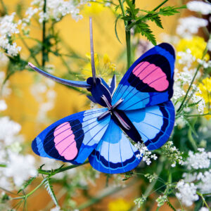 Peacock butterfly 3D en carton recyclé et en encre végétale
