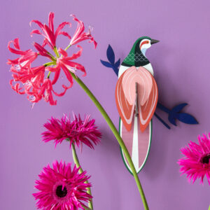 paradise bird, rani 3D en carton recyclé et en encre végétale