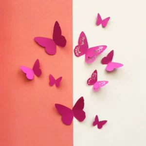Siméon - Kit de papillons