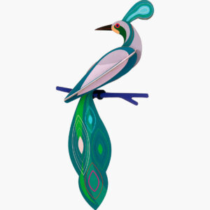 Paradise bird, fiji