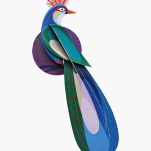 Paradise bird, banda