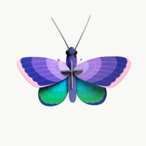 Blue copper butterfly