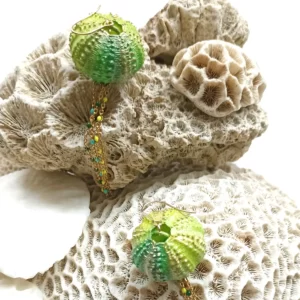 Boucles d'oreilles coquillage OURSIN citrus